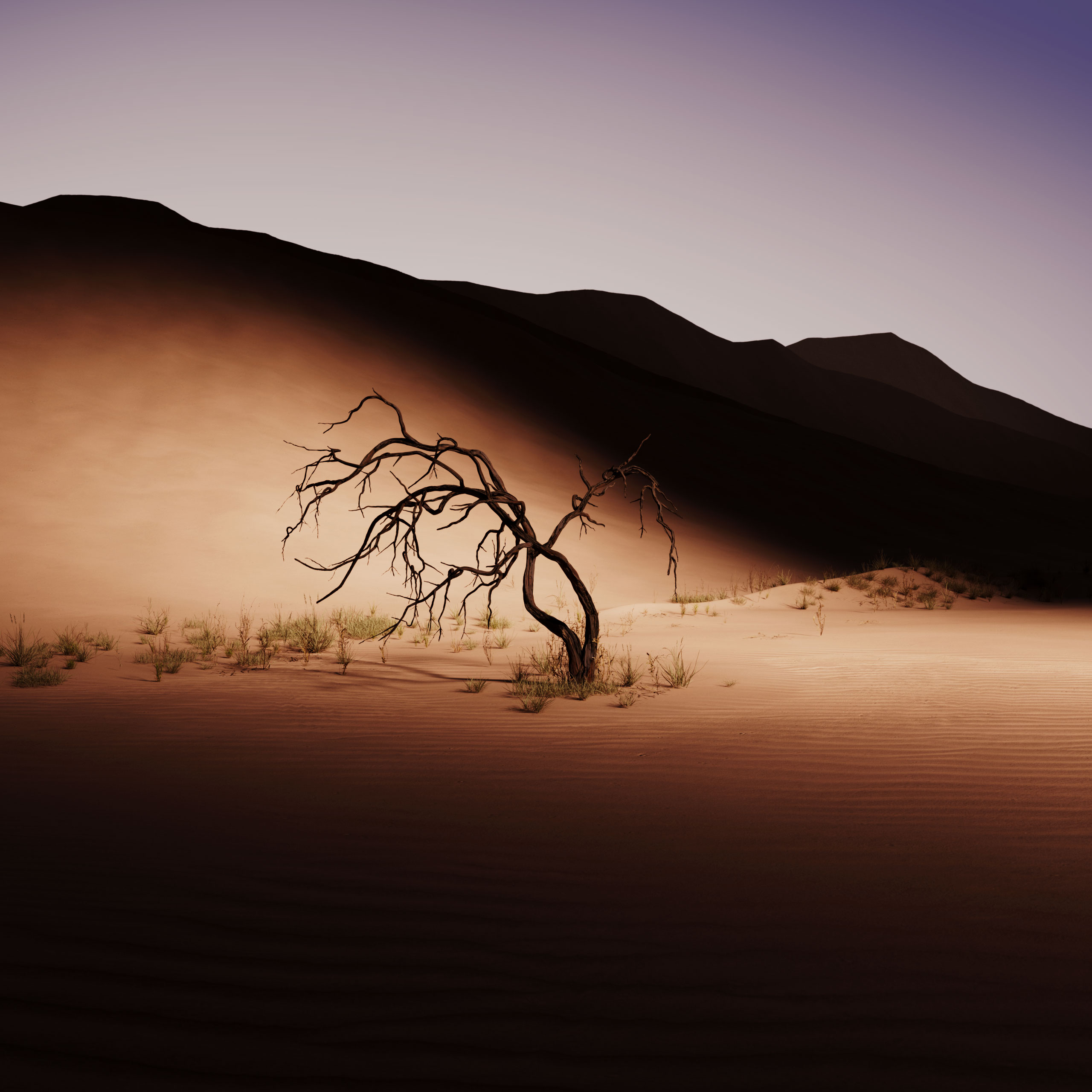 Landscapes_V9.004.web_.1×1