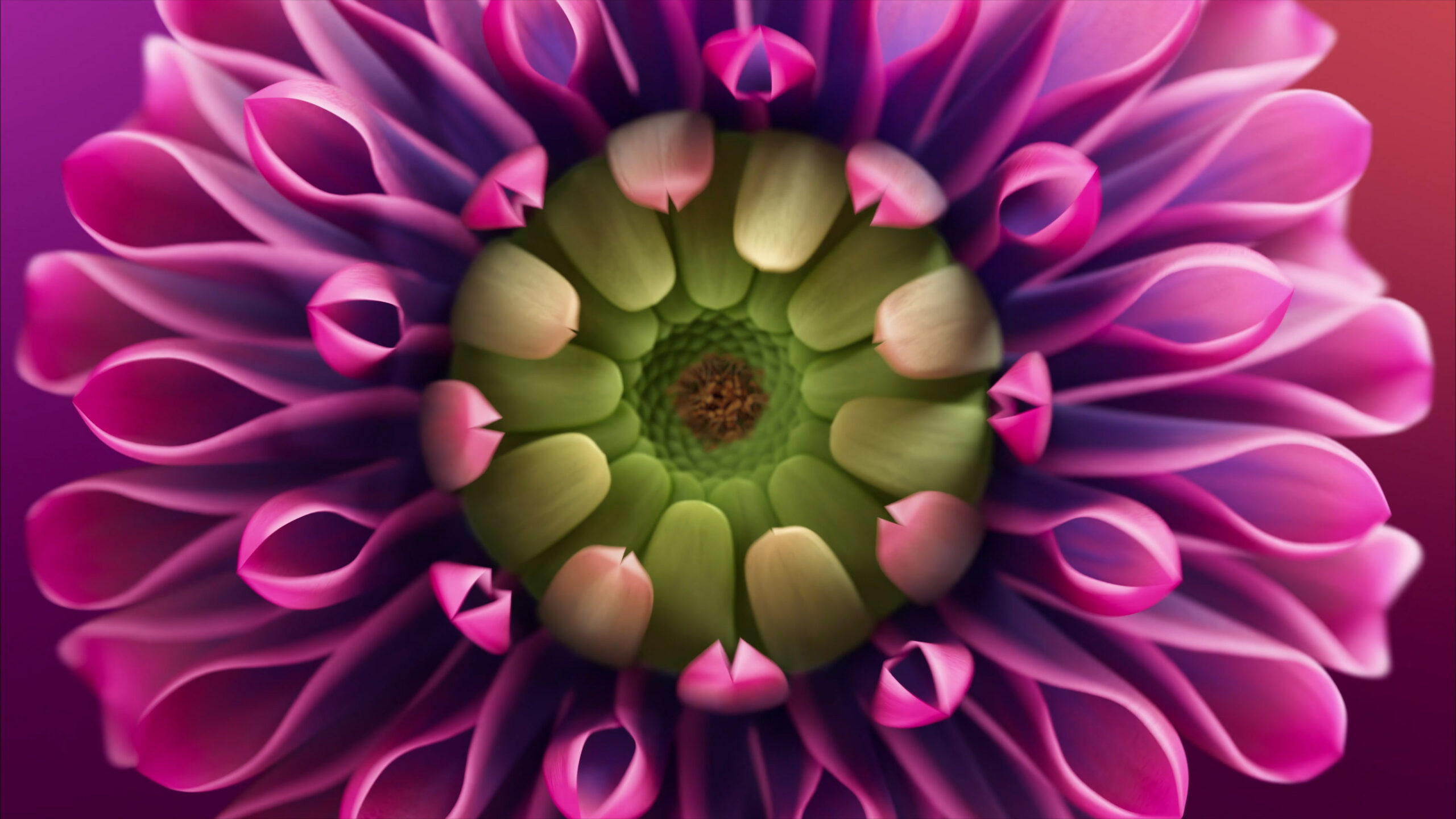 Nokia_Flower_000 Nokia_Flower_000