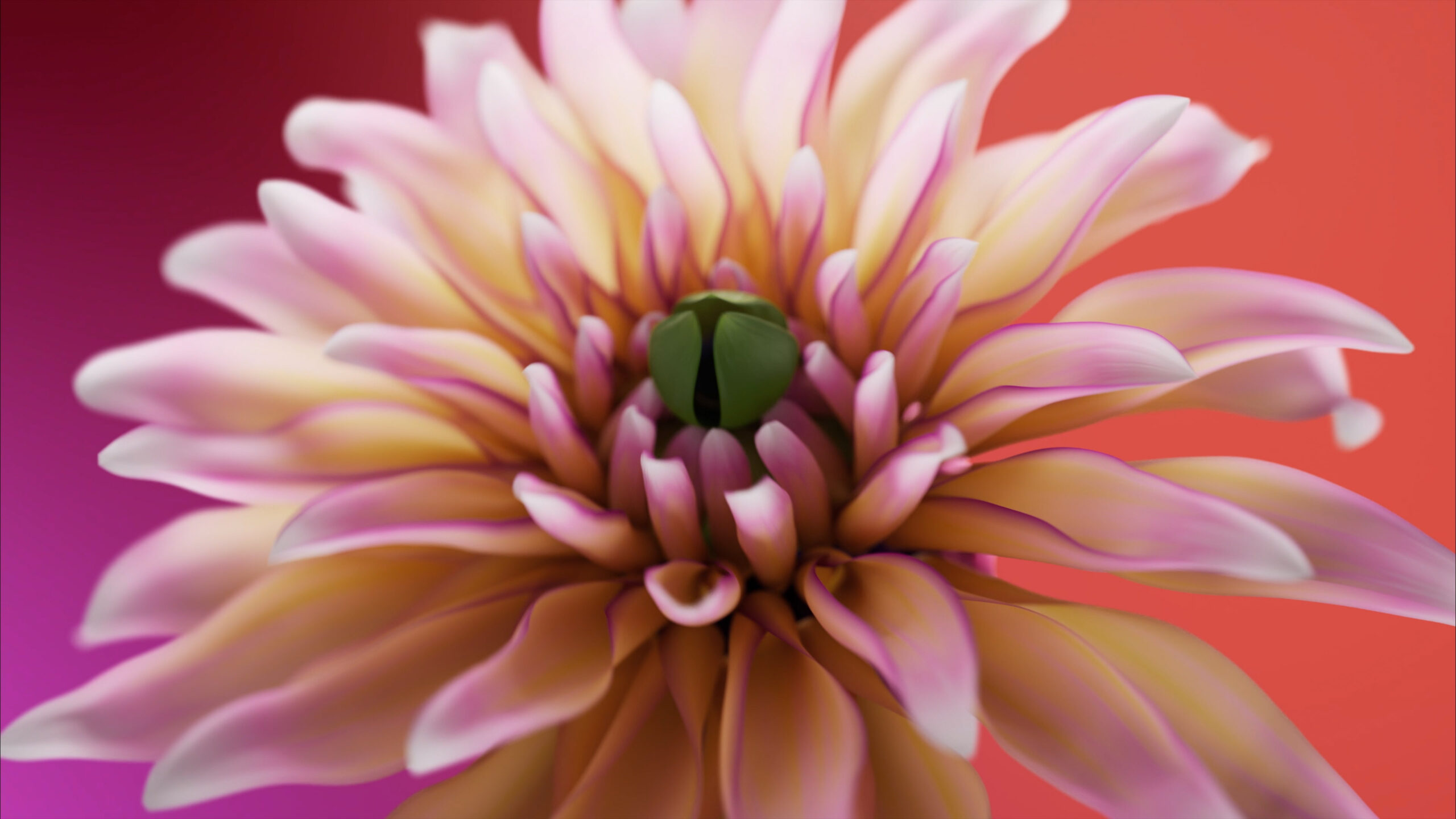 Nokia_Flower_001 Nokia_Flower_001