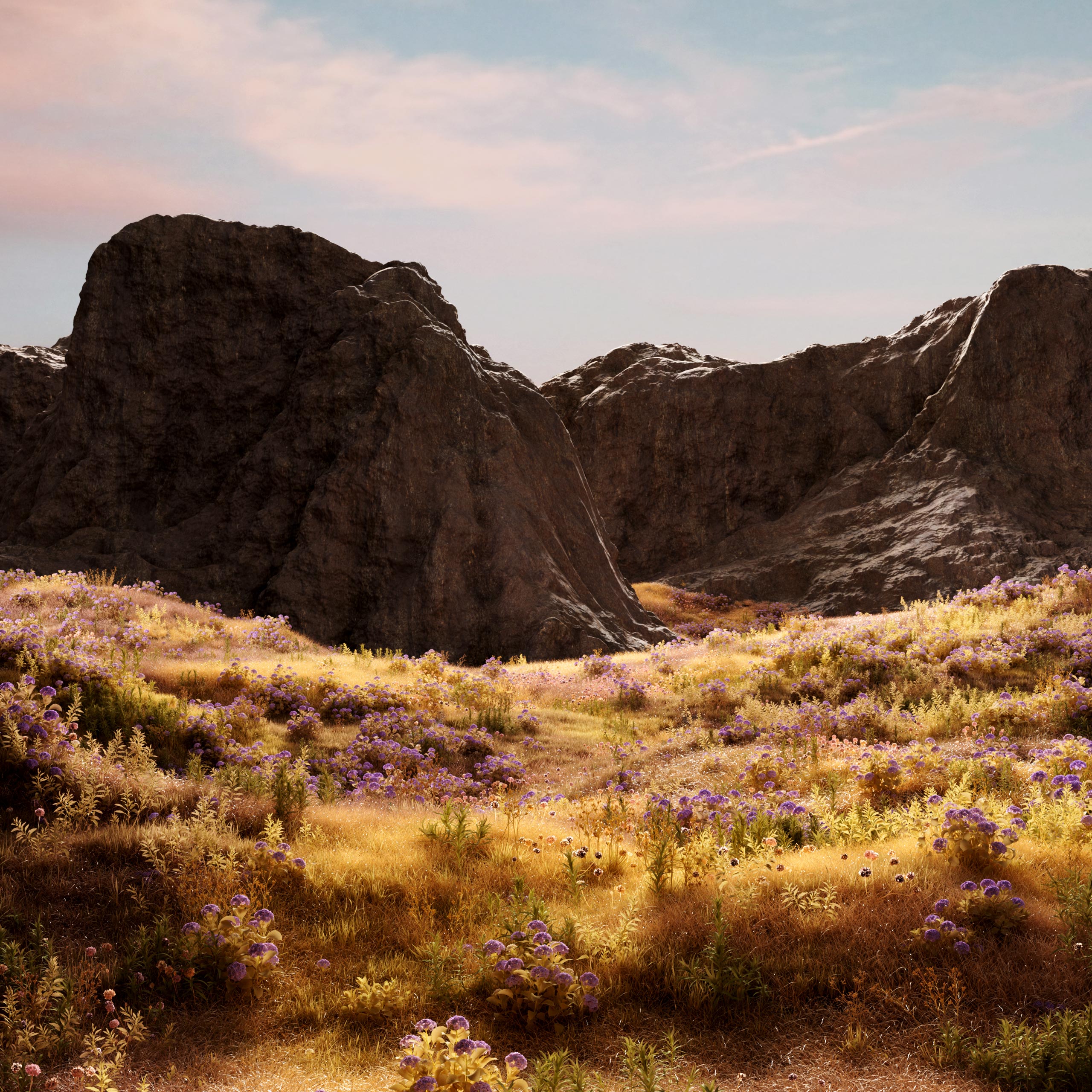 landscapes.V10.005.web_.1×1