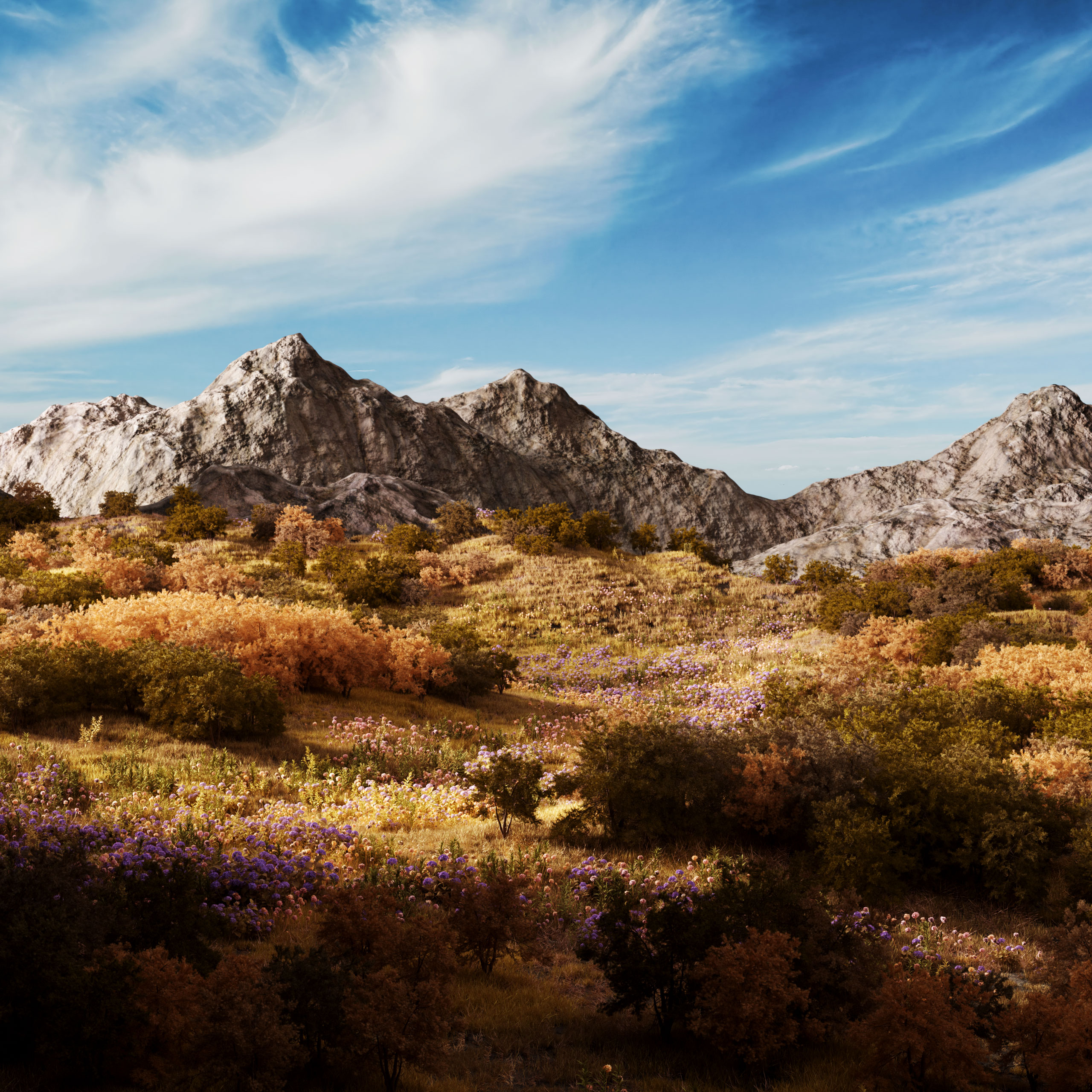 landscapes.V10A.010.web_.1×1