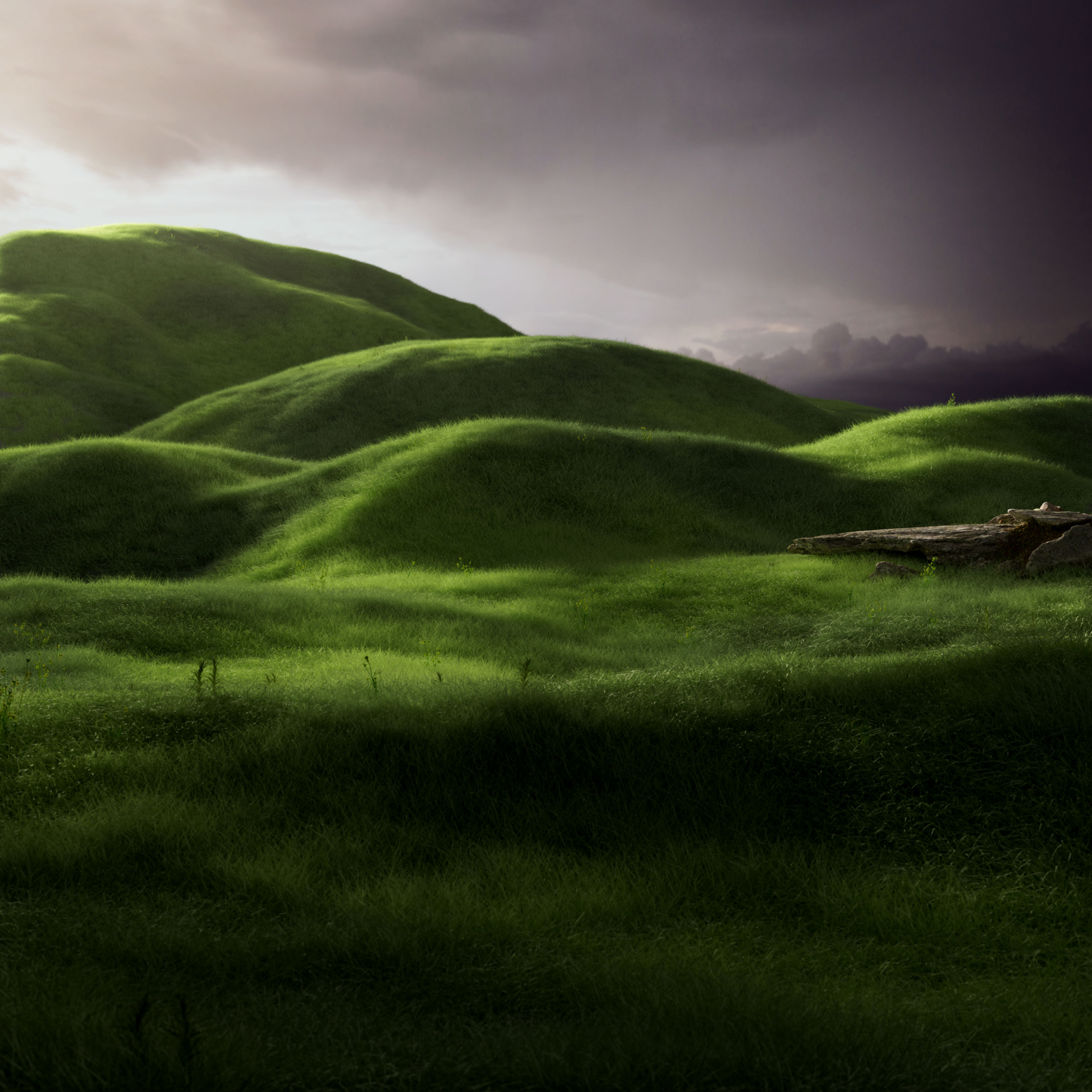 landscapes.V11.006.web_.1×1