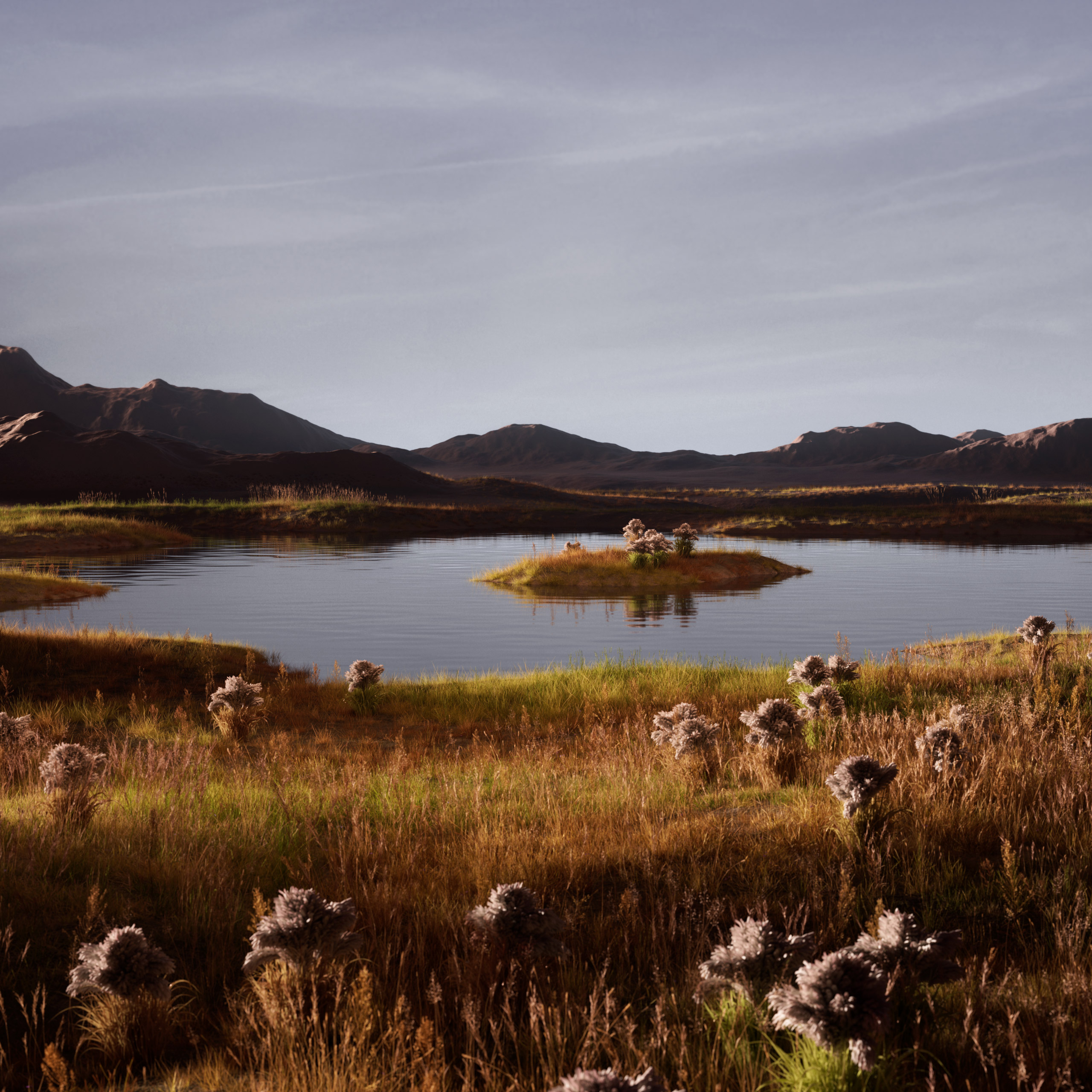 landscapes.V12B.004.web_.1×1