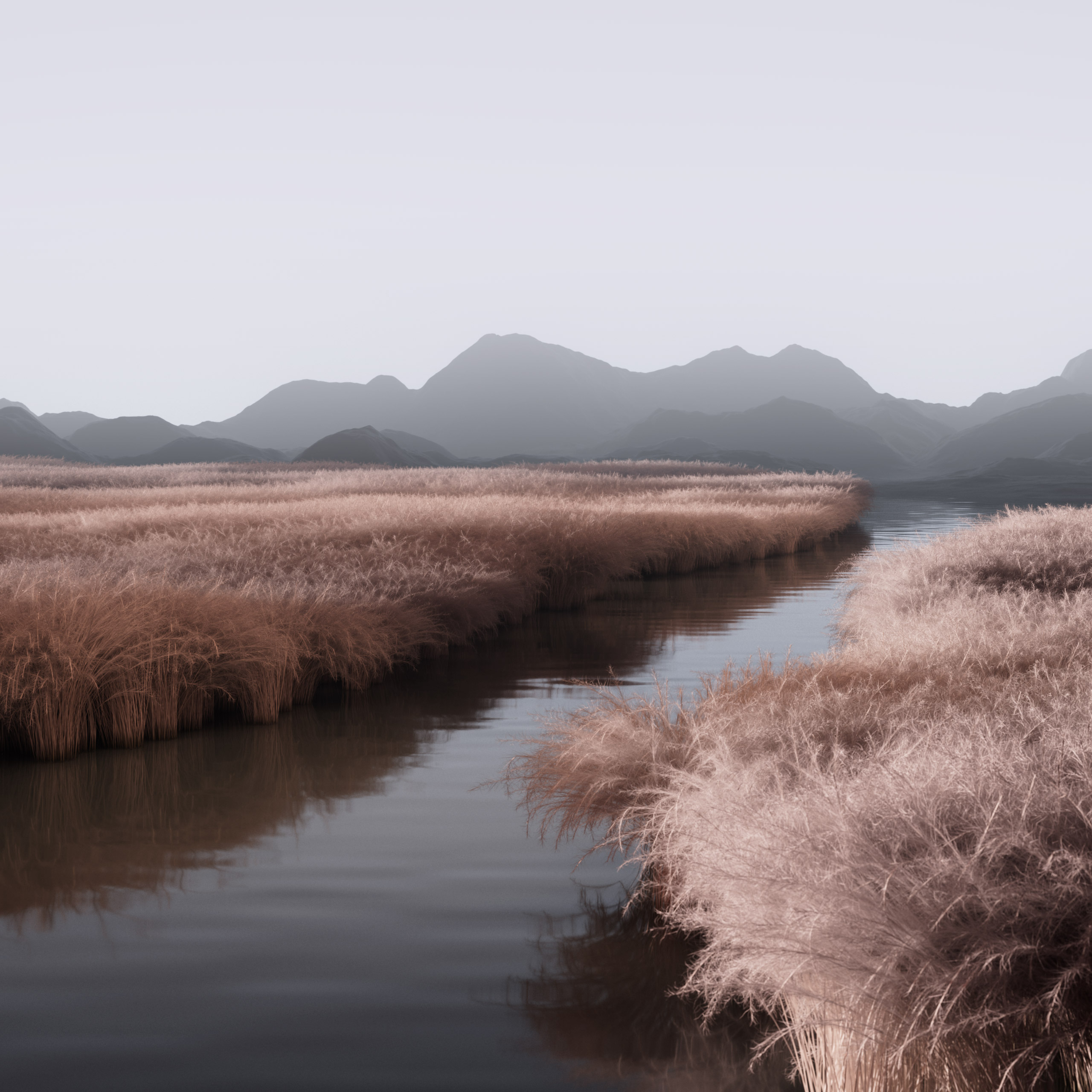 landscapes.V12C.002.web_.1×1