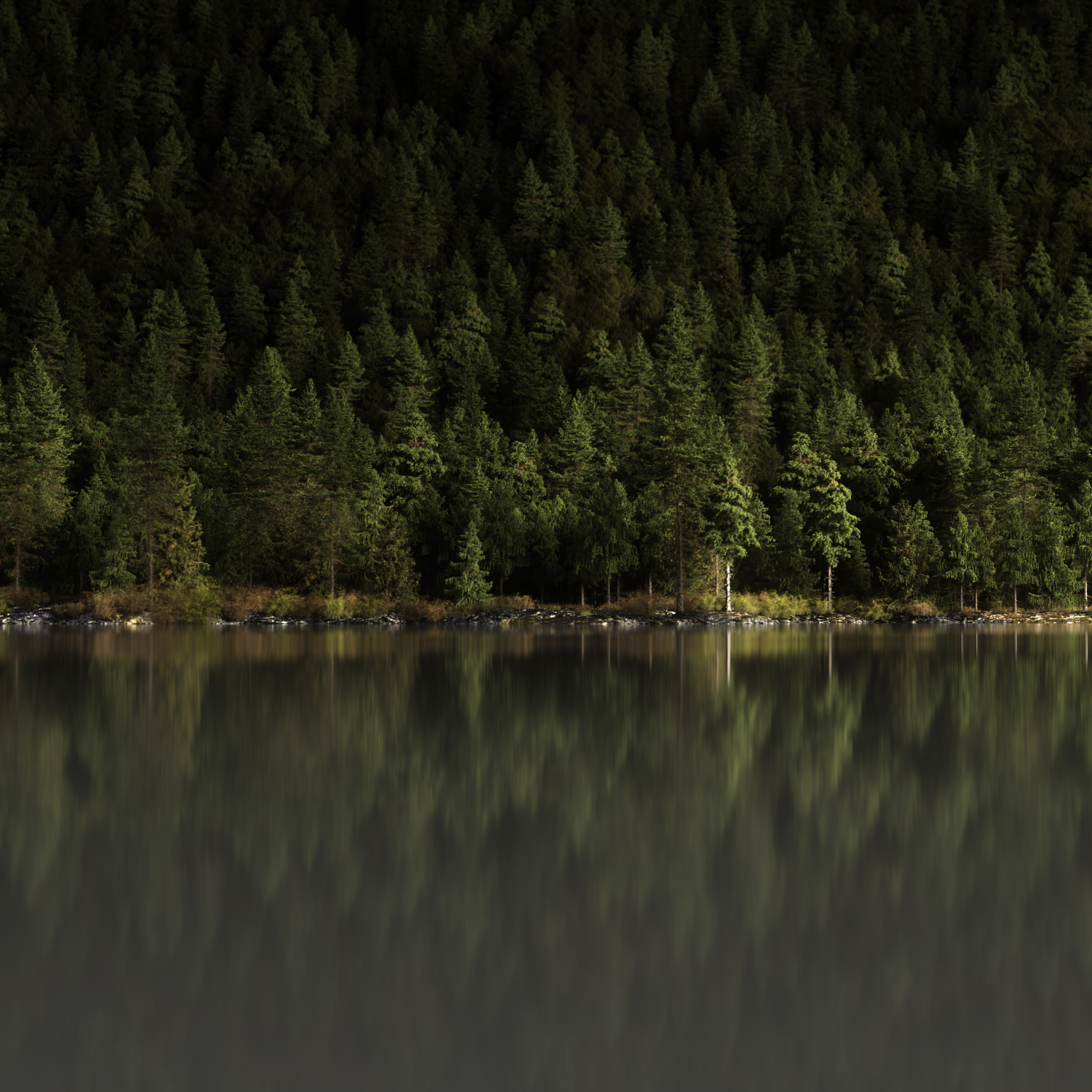 landscapes.V1C.002.web_.1×1