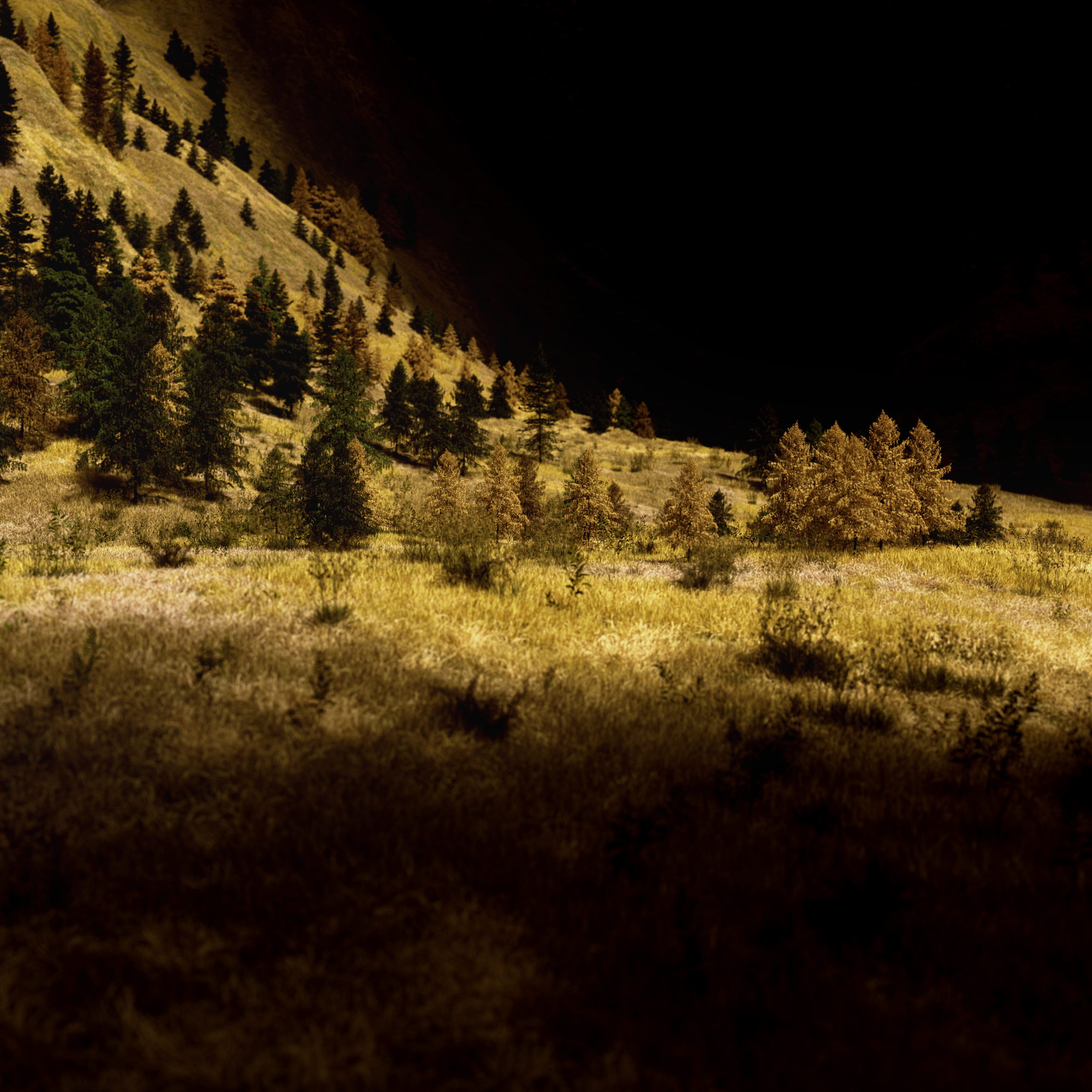 landscapes.V1DA.006.web_.1×1