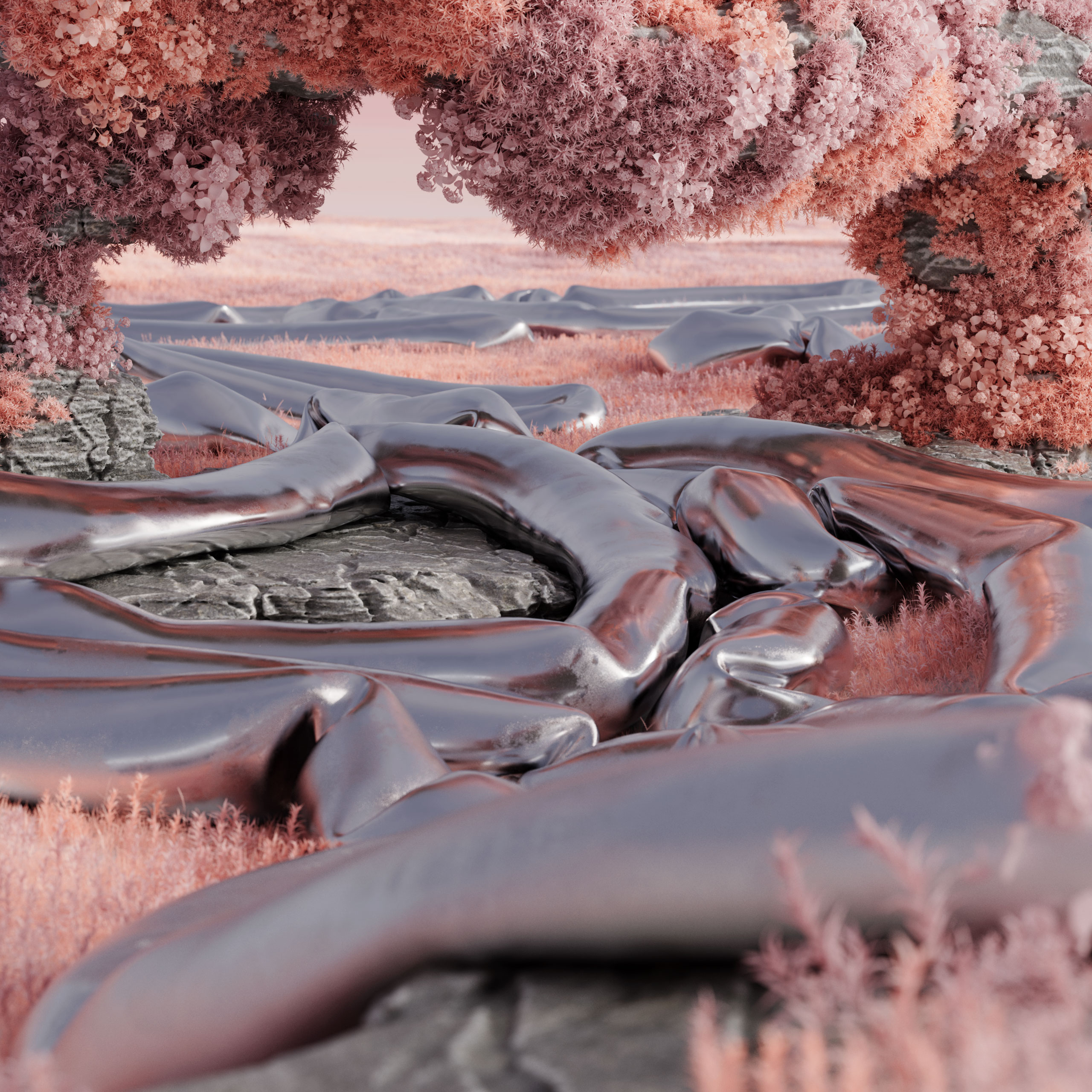 landscapes_Set2_V3.010.web_.1×1