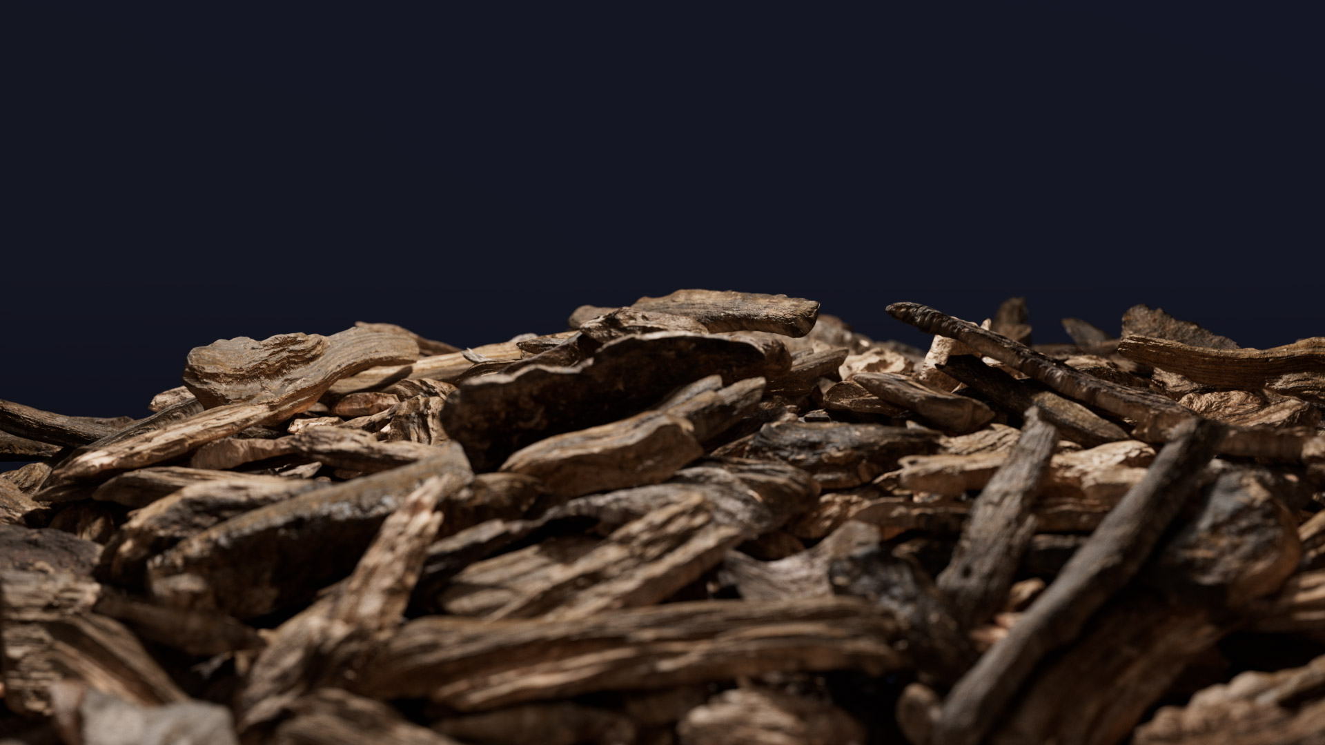 BioChar.Sh01_001 BioChar.Sh01_001