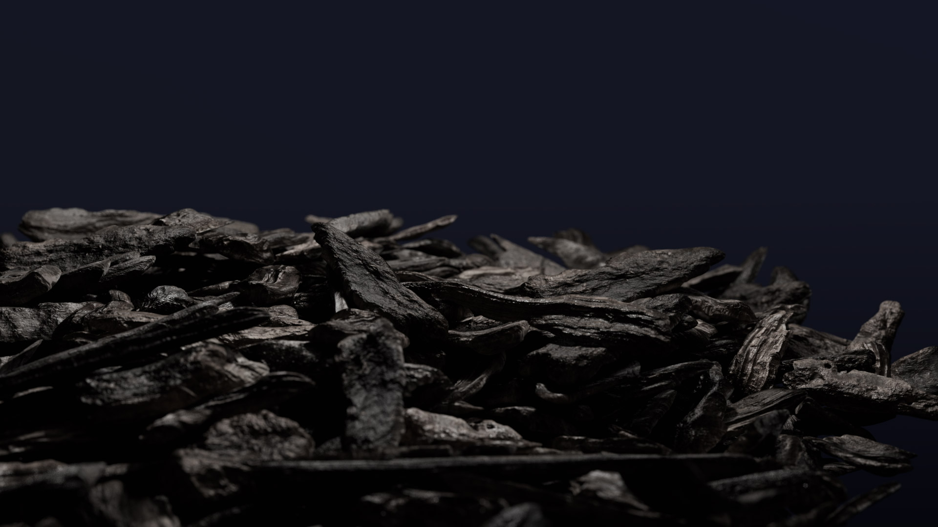 BioChar.Sh03_001 BioChar.Sh03_001