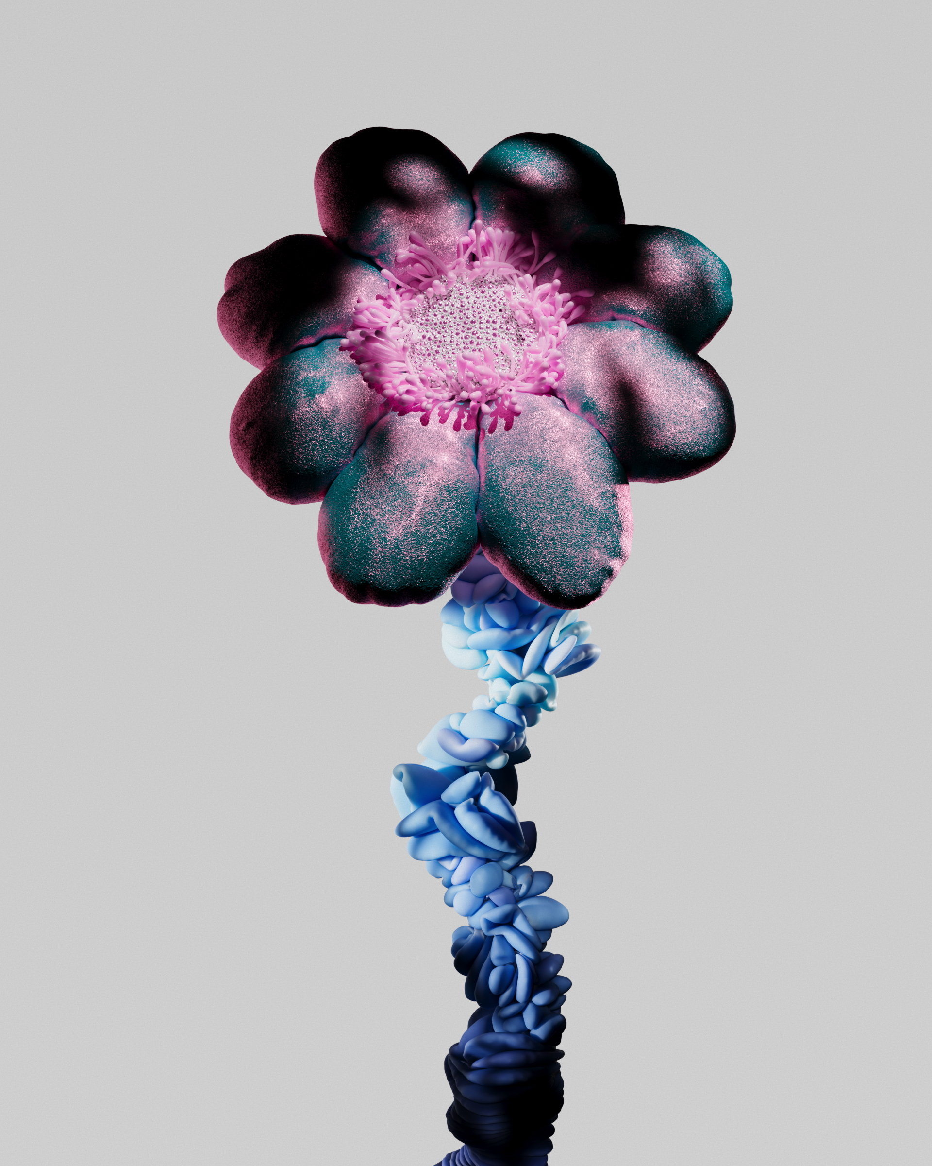 Dtiege_ClothFlower_006 Dtiege_ClothFlower_006