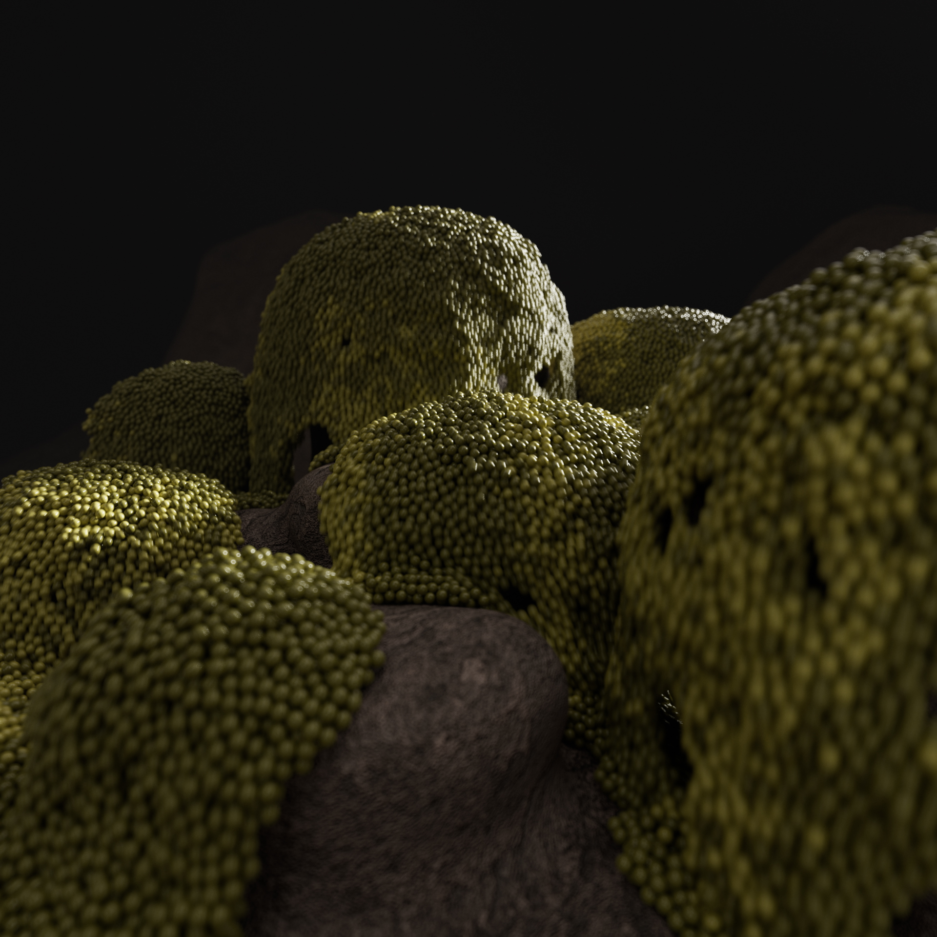 GrainsWorld-001-MidnightGreen_1920x1920_A1