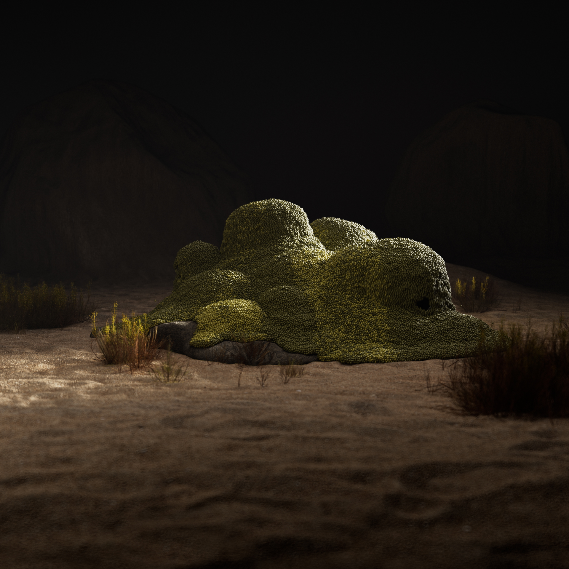 GrainsWorld-001-MidnightGreen_1920x1920_B1