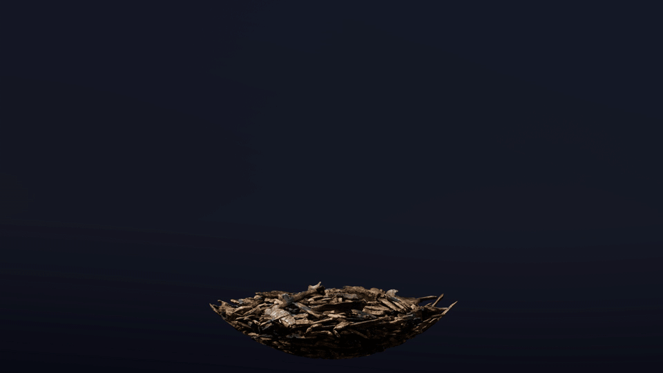Ldev_BioChar_001 Ldev_BioChar_001