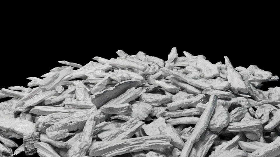 Ldev_BioChar_B_001 Ldev_BioChar_B_001