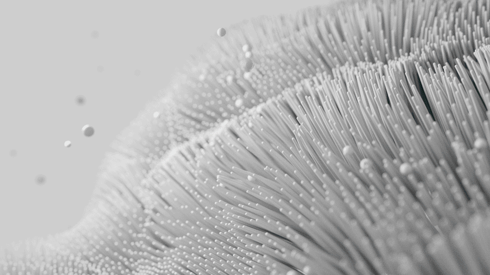 Ldev_Microalgae Ldev_Microalgae